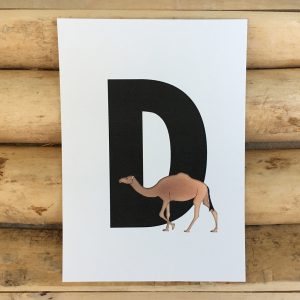 letter kaartje voor naamslinger D van Dromedaris