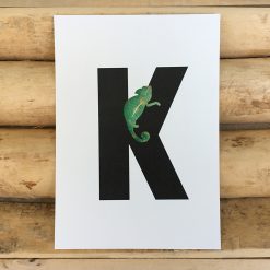 letter kaartje voor naamslinger K van Kameleon