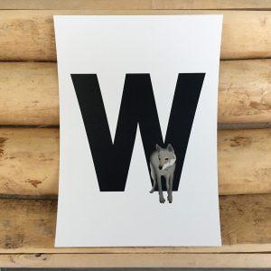 letter kaartje voor naamslinger W van Wolf